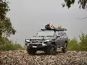 P7120715.webp