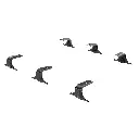 17900010.webp
